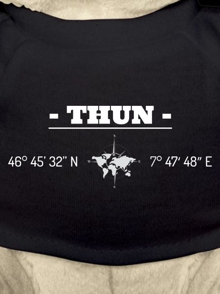 Koordinaten Thun