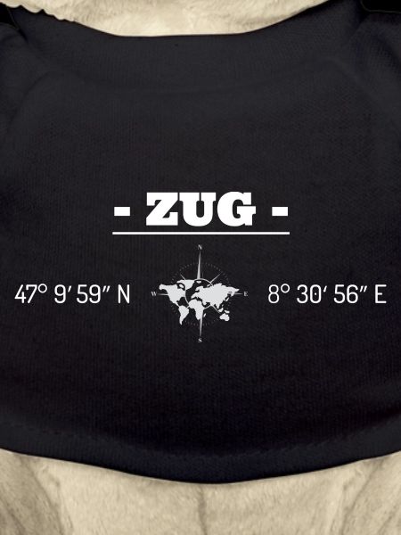 Train coordinates