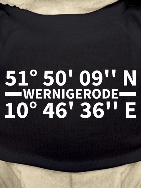 Coordonnées de Wernigerode