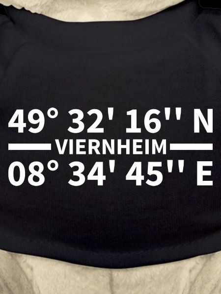 Coordonnées de Viernheim