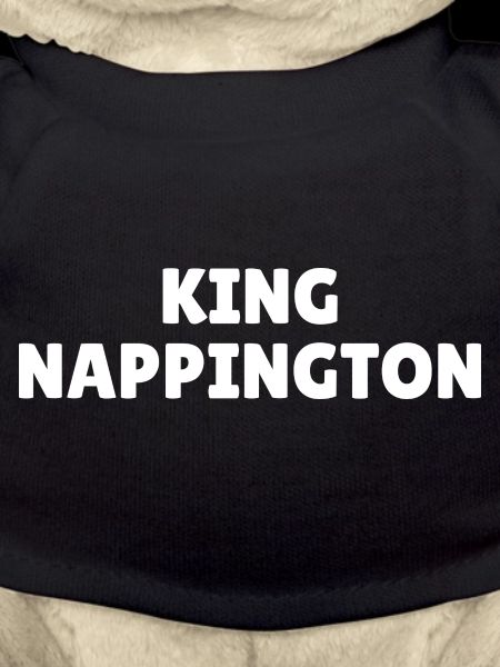 King Nappington
