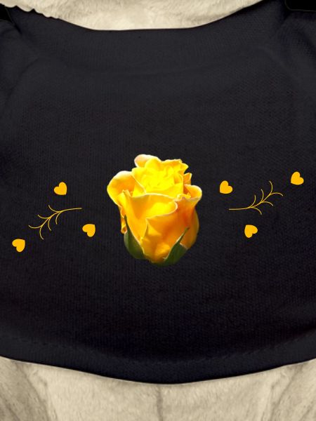 yellow roses