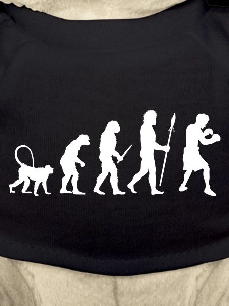 Évolution de la boxe