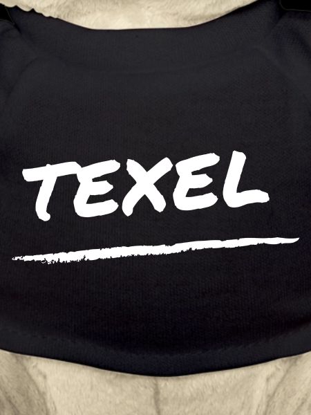 Texel lettering