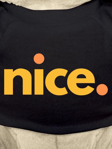 nice.04