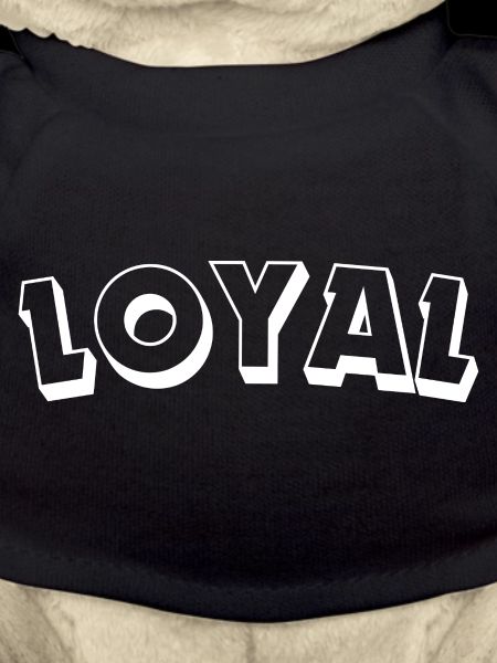Loyal Loyalty
