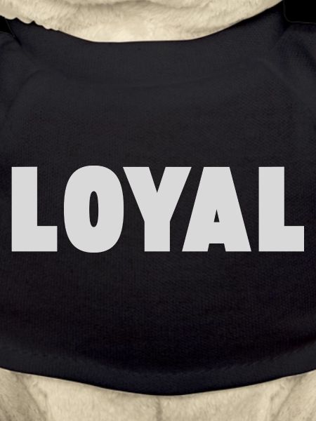 Loyal Loyalty
