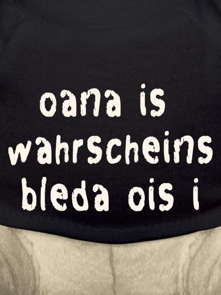 Funny Bavarian saying
