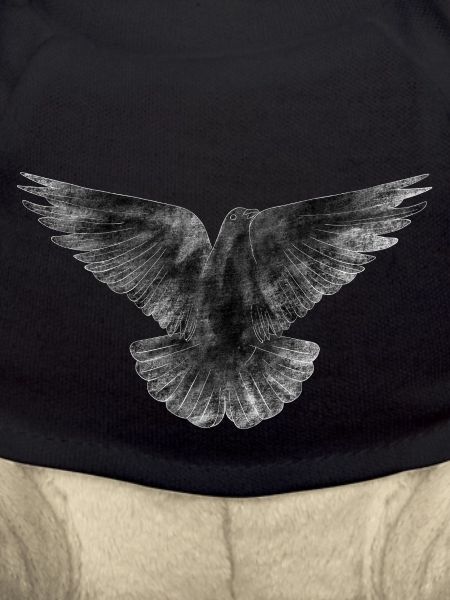 Dove