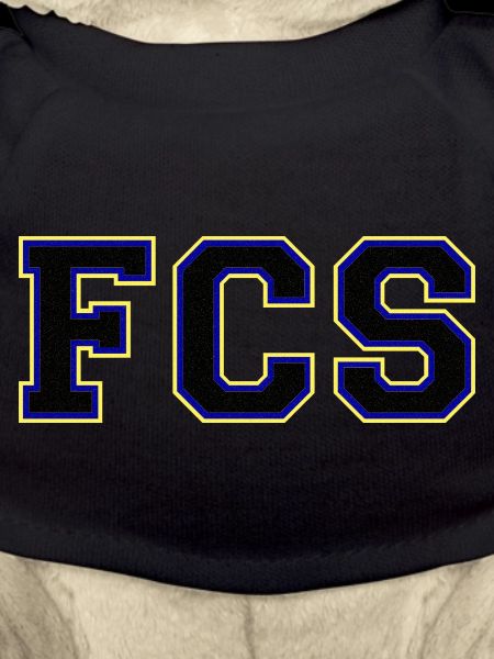 FCS - 1.FC Saarbrücken