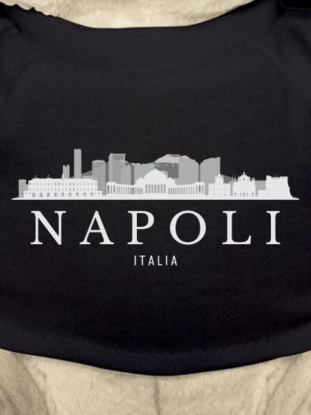 Naples Skyline, Naples Italy