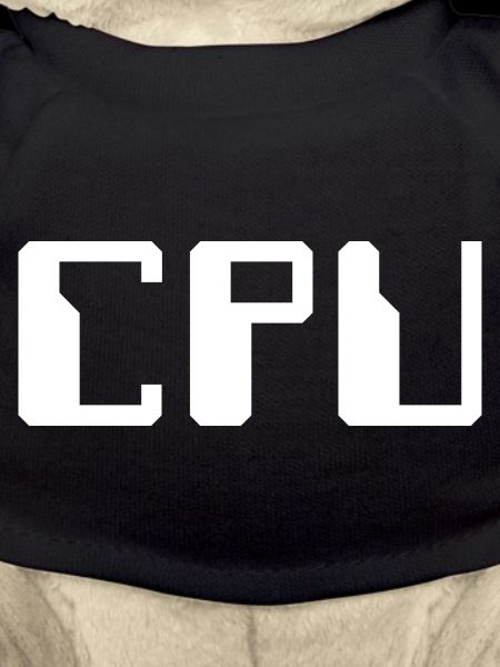 CPU