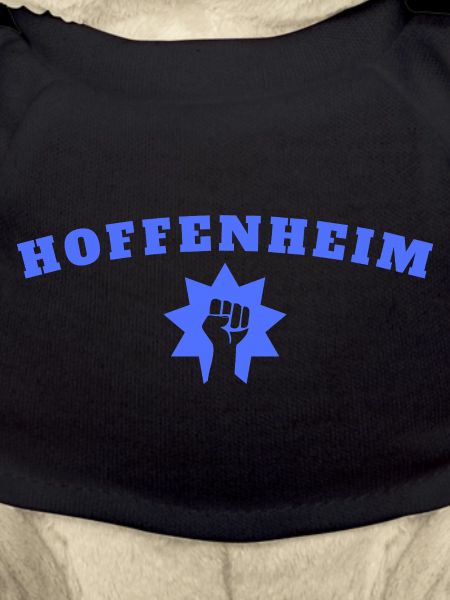 Hoffenheim