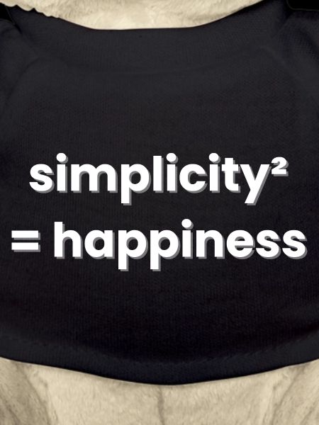 Simplicity Equals Happiness Minimalism