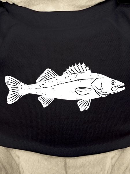 Großer Zander Fisch Fang Vektor