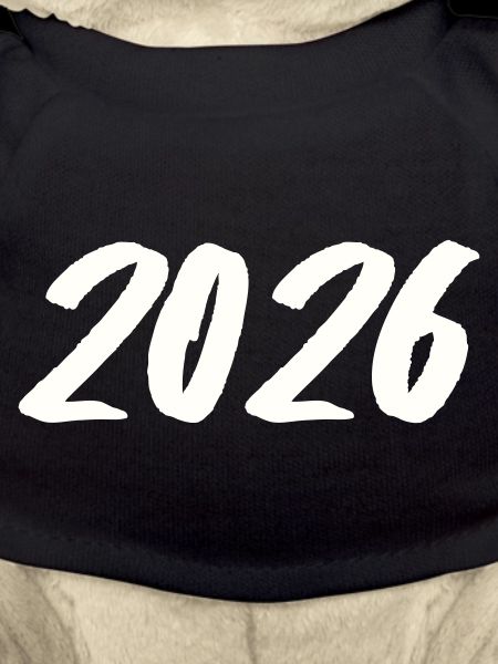 Year 2026 Brushstroke