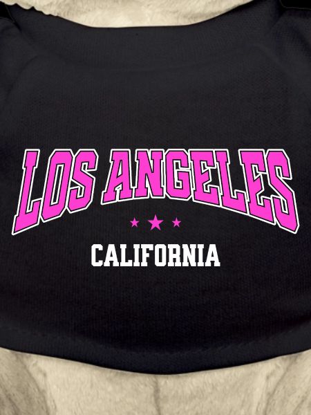 Los Angeles Neon City