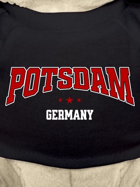 Potsdam Germany Arc Logo