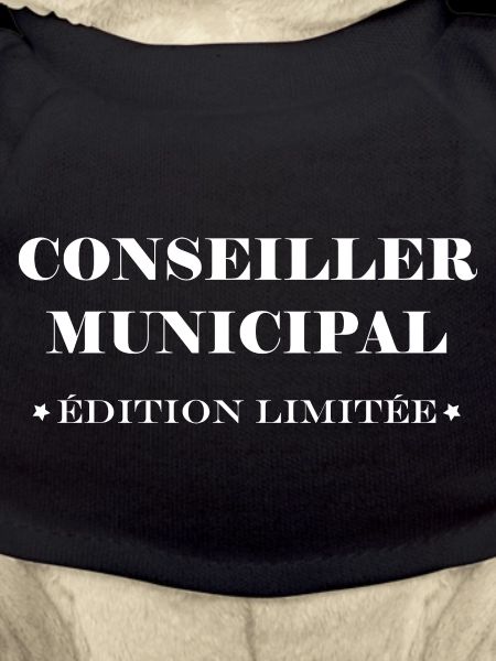 conseiller municipal