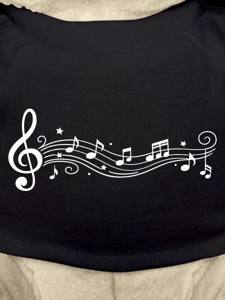 Musical Notes Melody Clefs