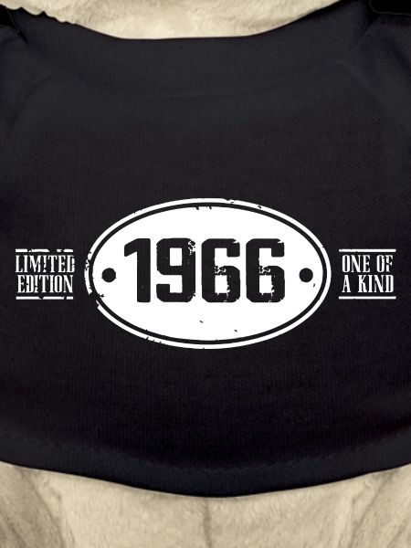 1966 Birthday 1966
