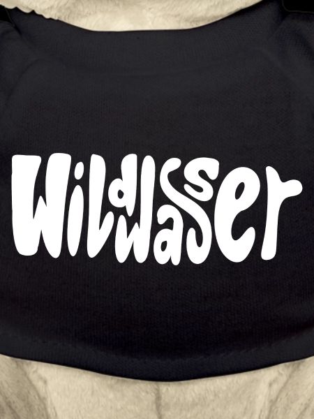 Whitewater lettering