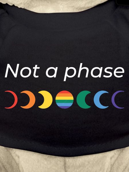 LGBTQ_ _Not_a_Phase