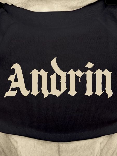 Andrin Gothic Font Print