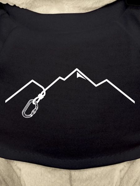 Carabiner Mountains Climbing