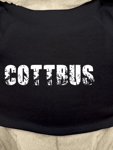 Cottbus