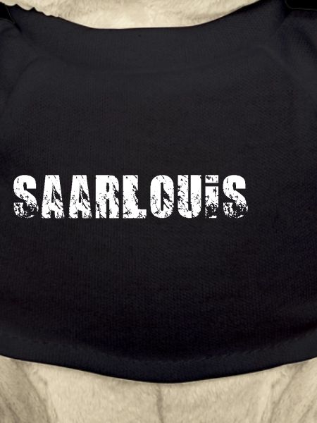 Saarlouis