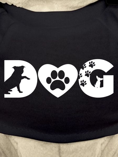 DOG Hund