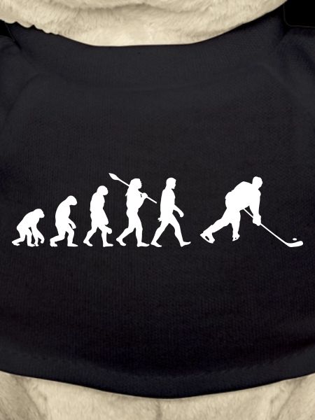Hockey Evolution
