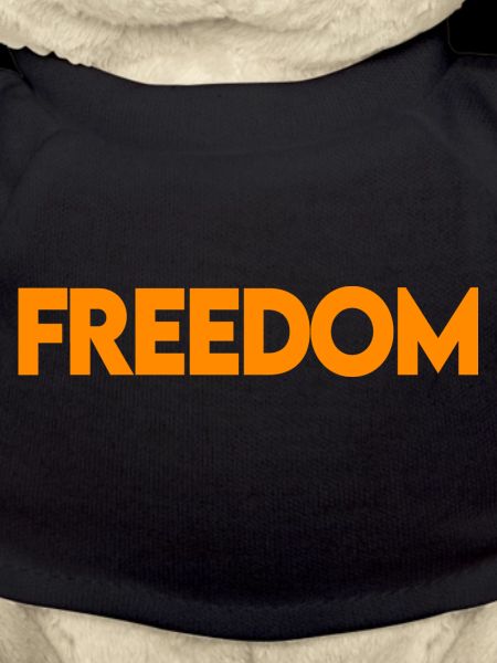 Freedom
