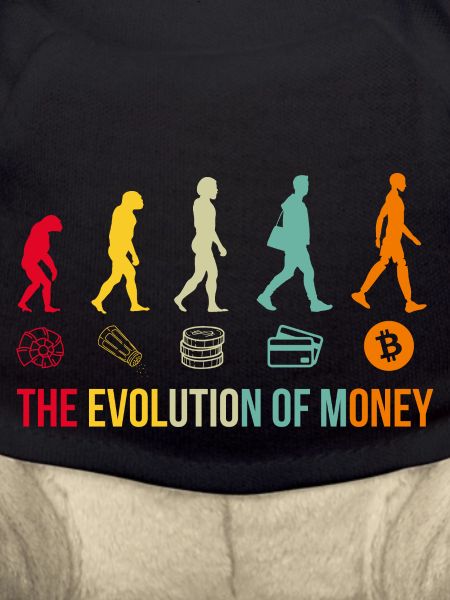 Money Evolution Bitcoin Crypto