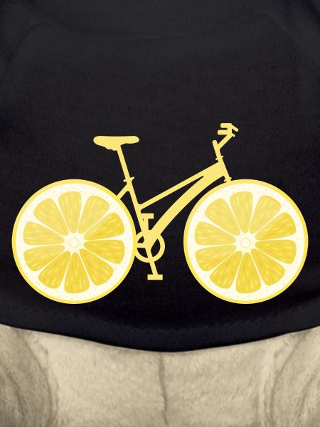 Bicycle lemon
