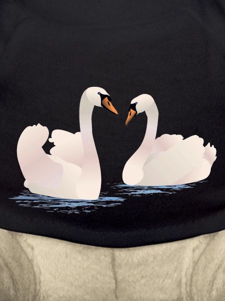 Cygnes