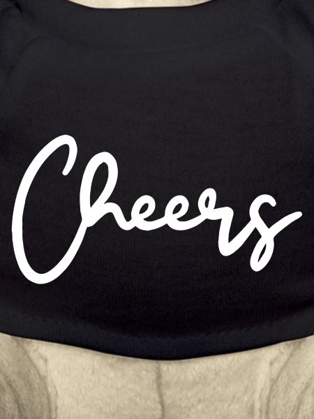 Cheers toast