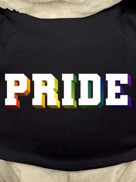 PRIDE RAINBOW SHADOW