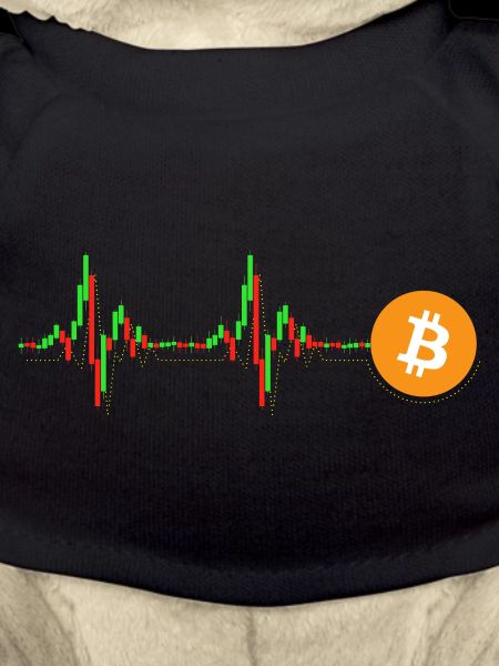 Bitcoin Chart Pattern