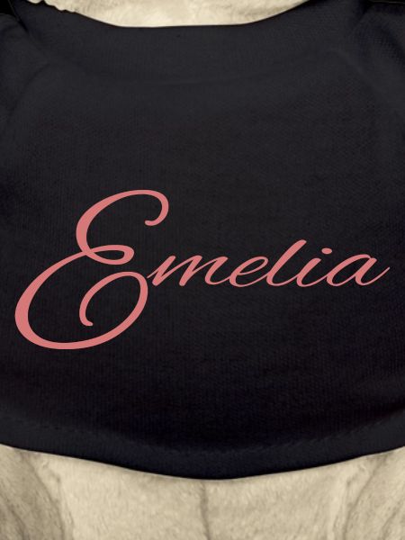 Name Emelia