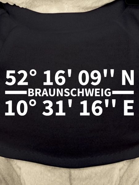 Coordonnées de Braunschweig