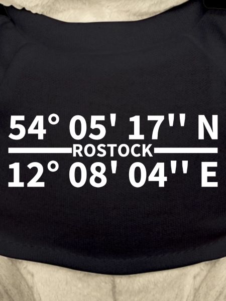 Coordonnées de Rostock