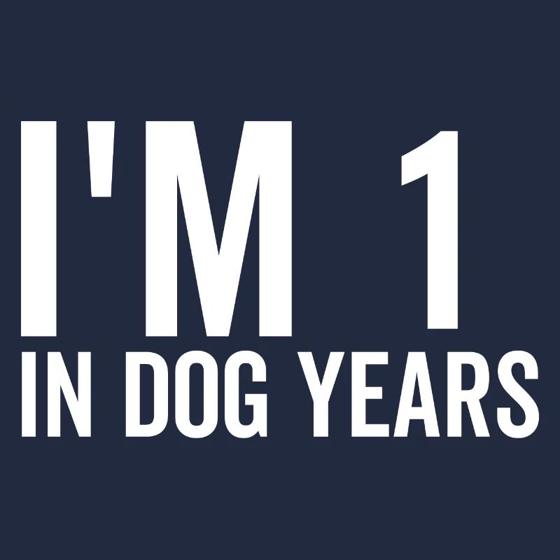 J’ai 1 an de chien