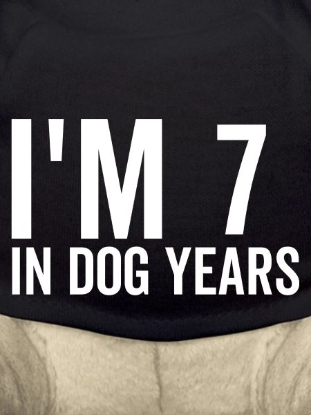 7 in Dog Years