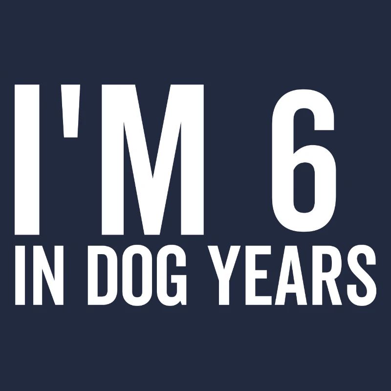 Ich bin 6 in Hundejahren