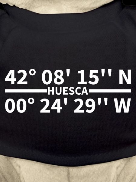 Coordonnées de Huesca