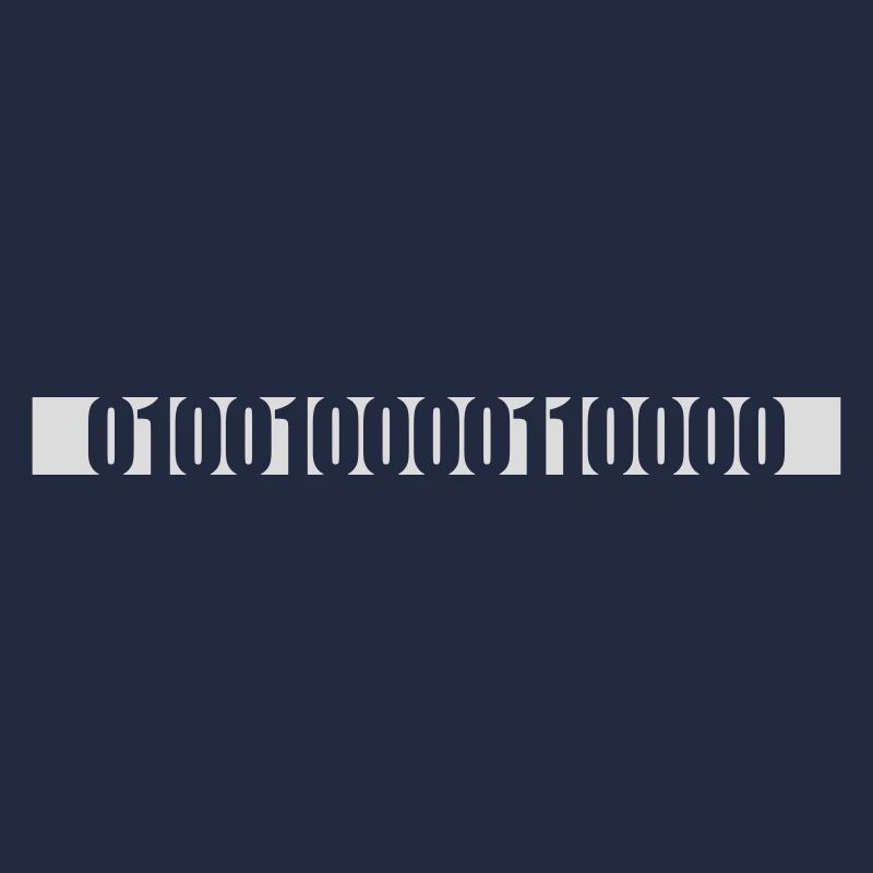 Langage de programme de code binaire