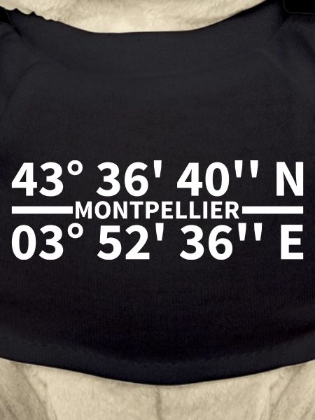 Coordonnées de Montpellier