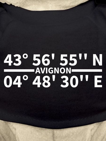 Coordonnées d’Avignon